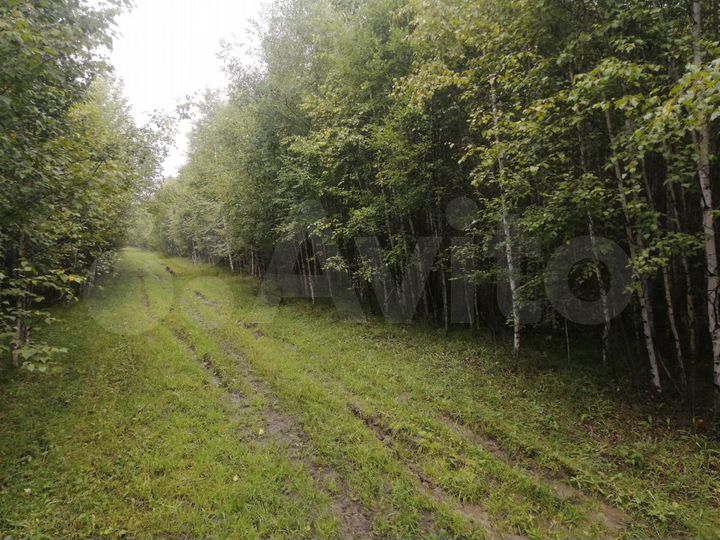 Участок 10 га (СНТ, ДНП)