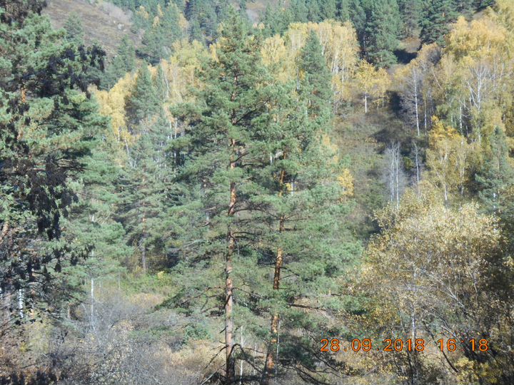 Участок 1,8 га (ИЖС)