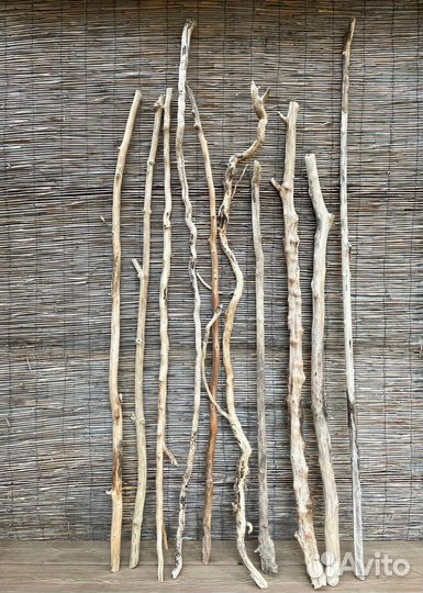 Морские палочки дрифтвуд от 100 до 220 см