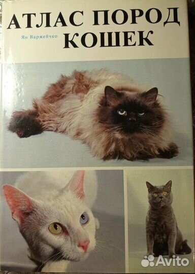 Книги и журналы