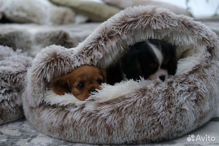 Лежанка для кошек и собак