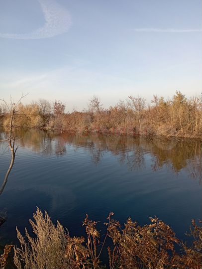 Участок 8 сот. (ИЖС)