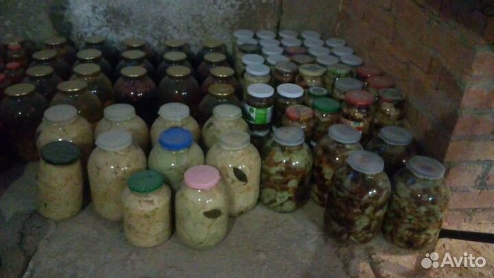 Солёные грибочки белянки и валуи