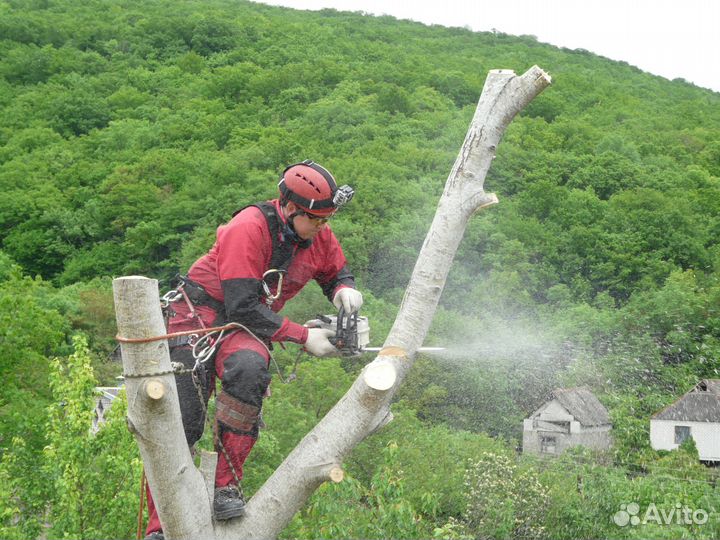 Спил Деревьев Гостагаевская. Удаление, Обрезка