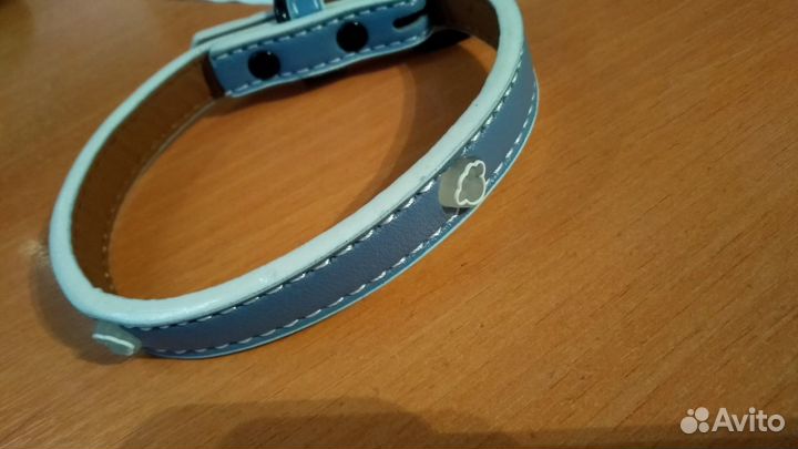 Ошейник для собаки, Жетончики