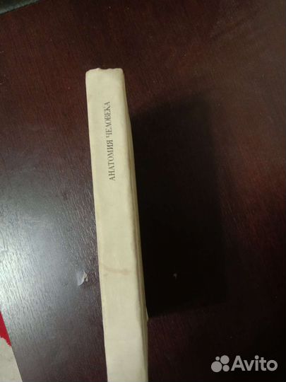 Учебник по анатомии на 584стр