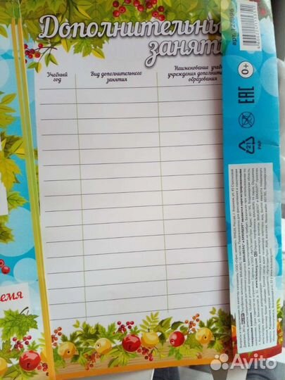 Портфолио школьника