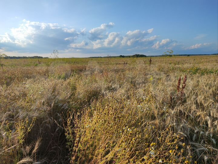 Участок 16,2 га (СНТ, ДНП)