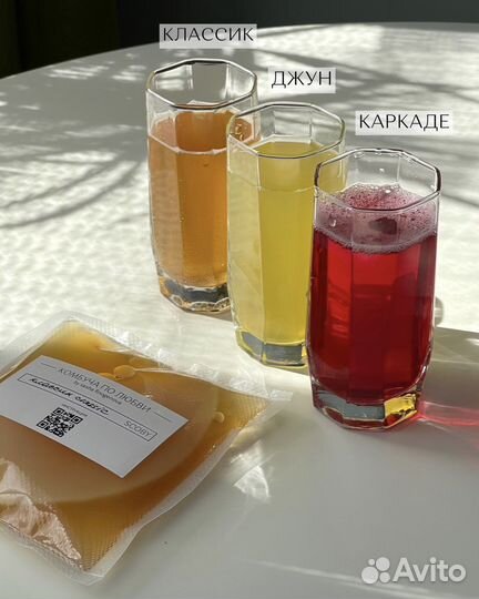 Чайный гриб Комбуча Джун