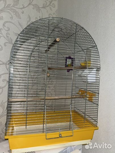 Большая клетка для птиц + принадлежности