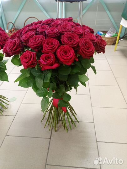101 роза.51 роза,кустовая роза