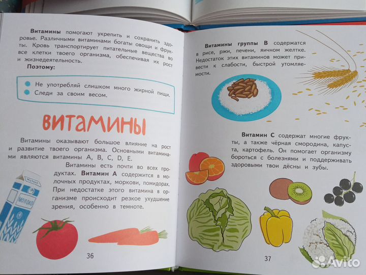 Пакет хороших книг для дошкольников