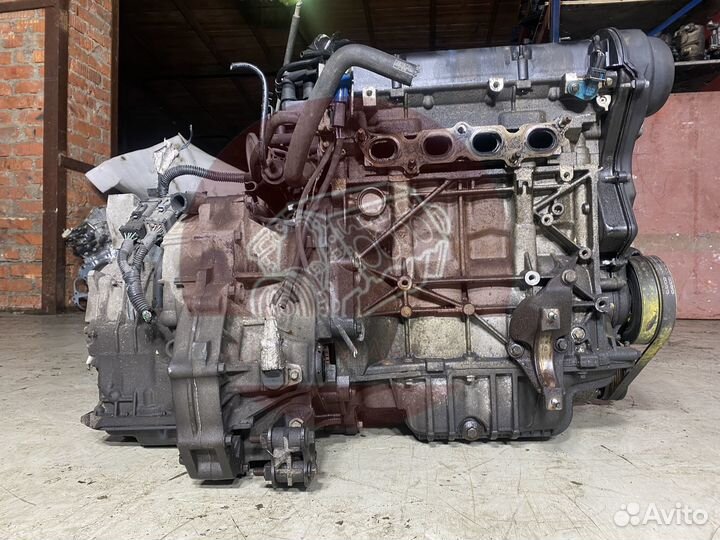 Двигатель Ford Focus 2 1.6 shda
