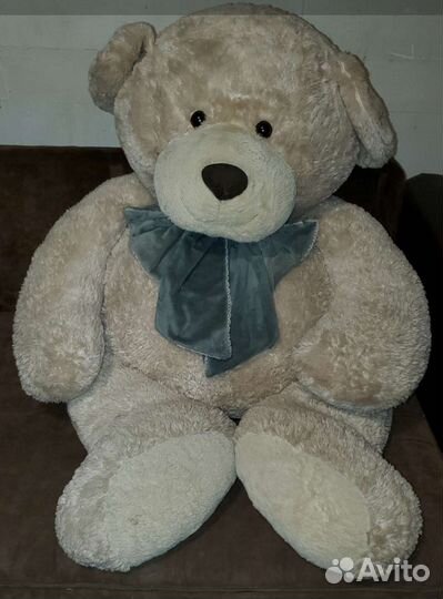 Плюшевый медведь