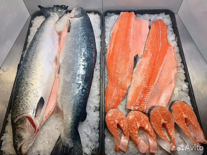 Красная Рыба Лосось