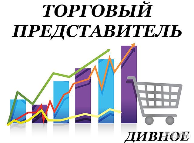 Торговый представитель с авто