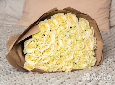 101 роза розы букет роз доставка цветов роза