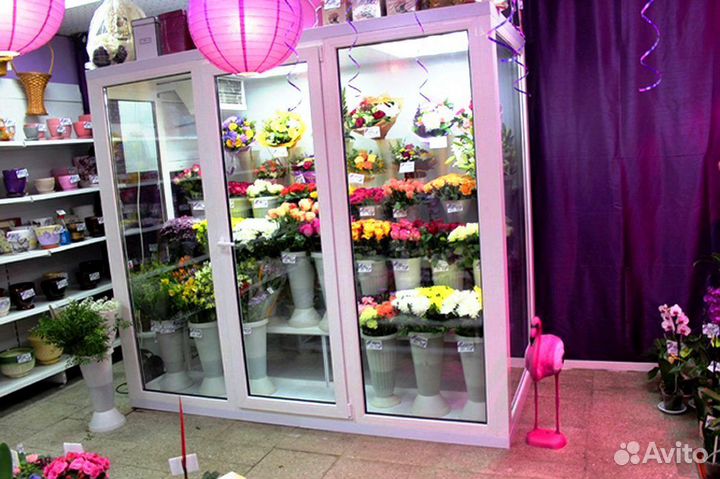 Холодильная камера для пива