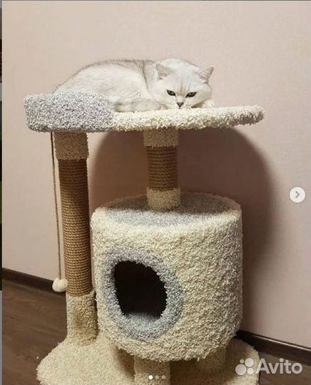 Домик для кошки, когтеточка, лежанка