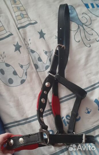 Недоуздок на лошадь