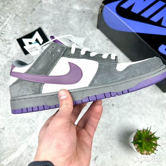 Кроссовки Nike sb dunk low purple pigeon