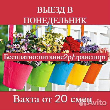 273 смен / питание / бесплатный транспорт /упаковщ