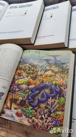 Энциклопедия жизнь животных СССР
