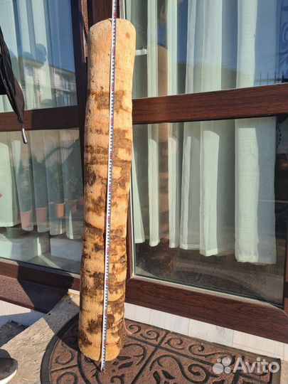 Дрифтвуд стволы пальм