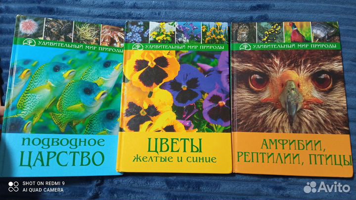 Набор книг детский 