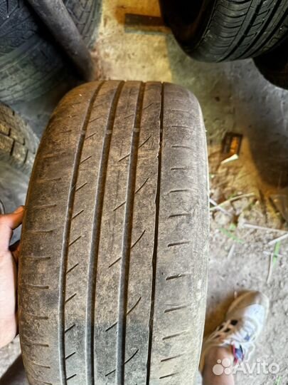 Hankook AM06 185/65 R15