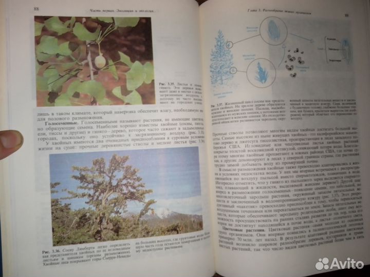 Введение в биологию Кемп, Армс