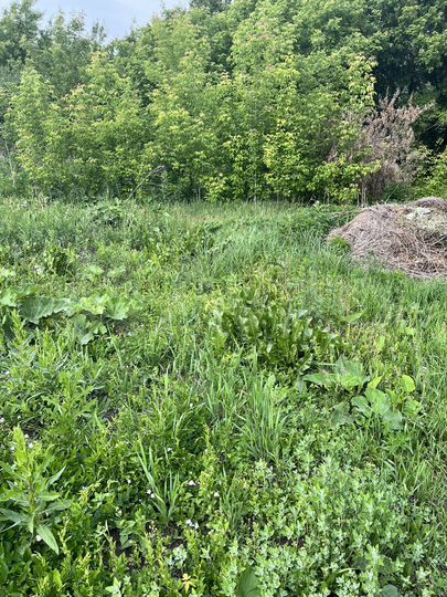 Участок 6 сот. (ИЖС)