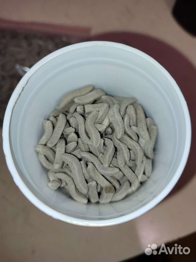 Корм для черепах