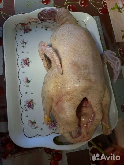 Продам мясо гуся