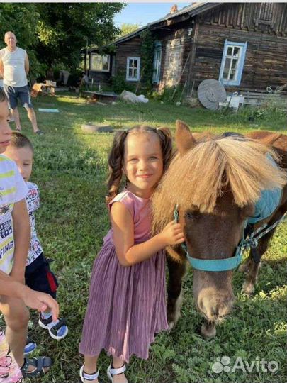 Пони на любые детские праздники