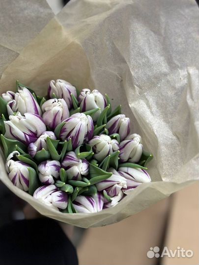 Тюльпаны к 8 марта