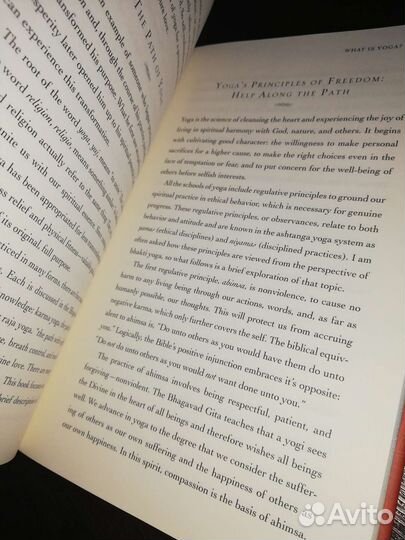 The Journey within Radhanath Swami