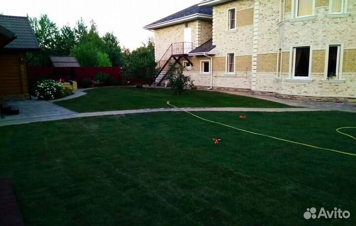 Рулонный газон с укладкой и гарантией