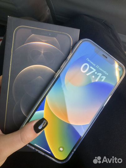 iPhone 12 Pro Max, 256 ГБ