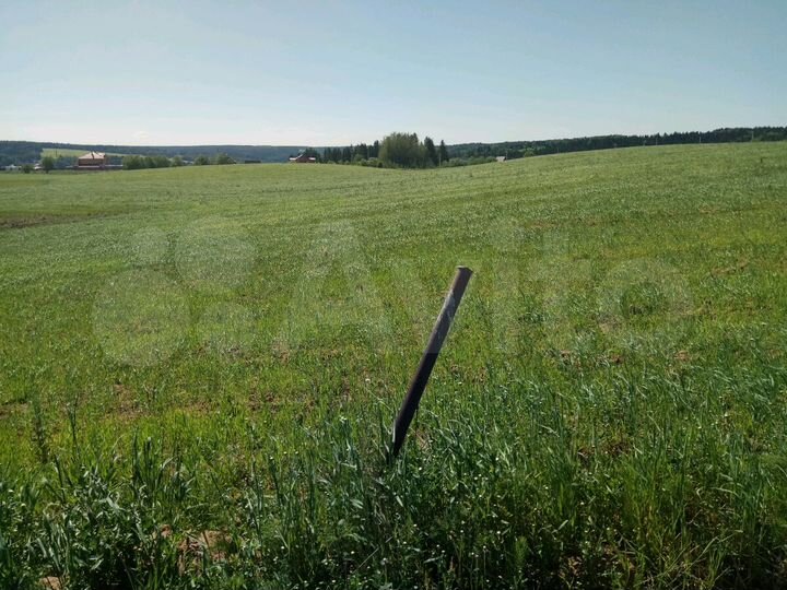 Участок 4,2 га (СНТ, ДНП)