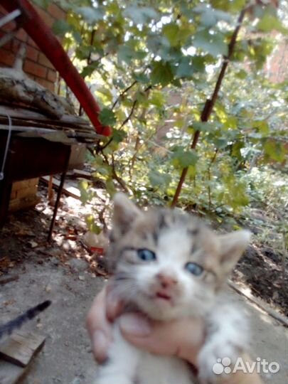 Отличные пацаны