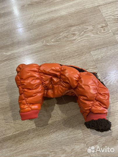 Одежда для маленьких собак