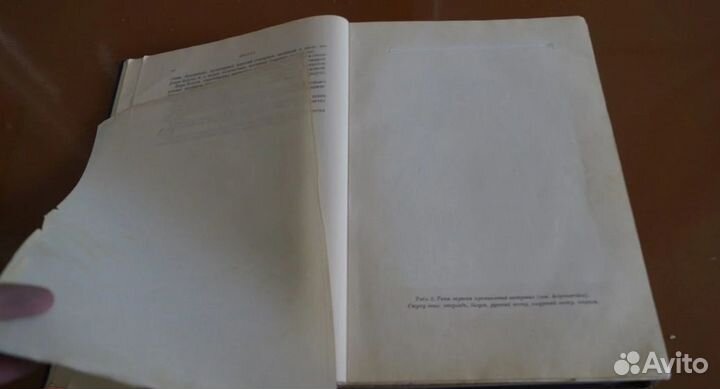 Промысловые рыбы СССР. Описания рыб 1949 год нет В