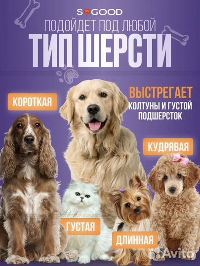 Новый набор для Груминга