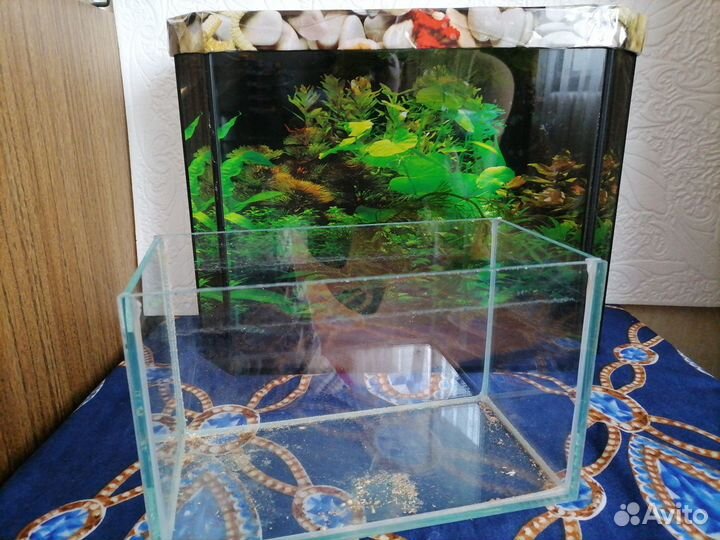 Аквариум