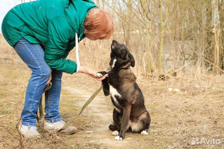 Верочка в добрые руки
