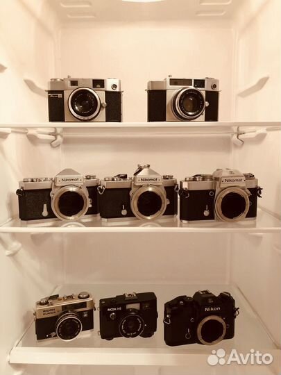 Пленочная камера canon nikon fuji olympus ricoh