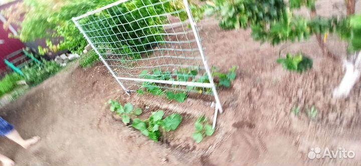 Шпалера металлическая для подвязки огурцов