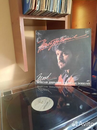 Винил Вячеслав Добрынин - Настроение