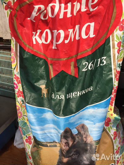 Сухой корм для собак